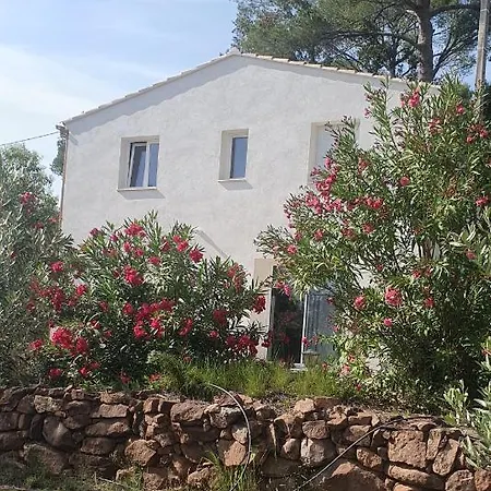 Bastidon Du Camp De Jeanne Cuers